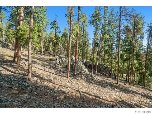 231 Granite Drive Drake, CO 80515
