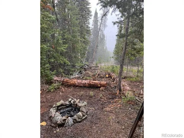 0 Forest Service Road #169 Red Feather Lakes, CO 80545
