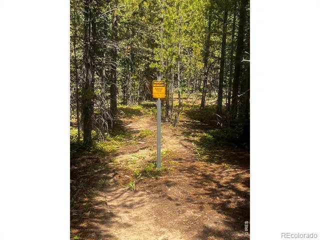 0 Forest Service Road #169 Red Feather Lakes, CO 80545