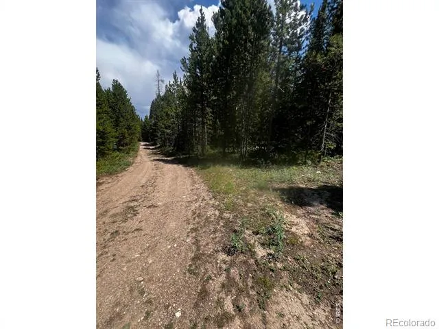 0 Forest Service Road #169 Red Feather Lakes, CO 80545