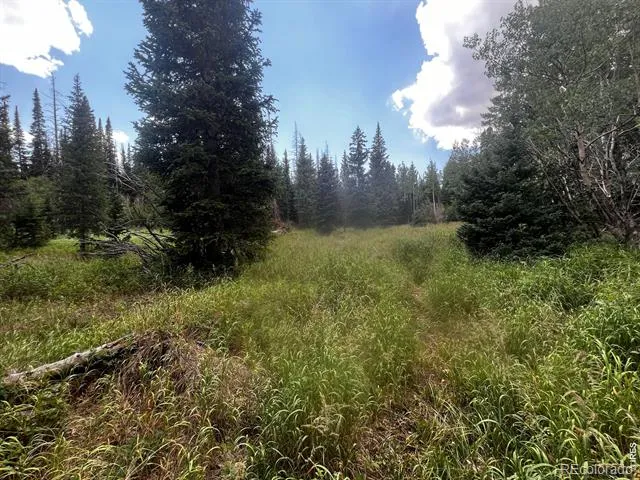 0 Forest Service Road #169 Red Feather Lakes, CO 80545