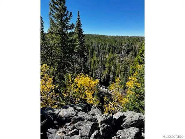 0 Forest Service Road #169 Red Feather Lakes, CO 80545