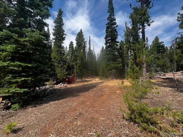 0 Forest Service Road #169 Red Feather Lakes, CO 80545