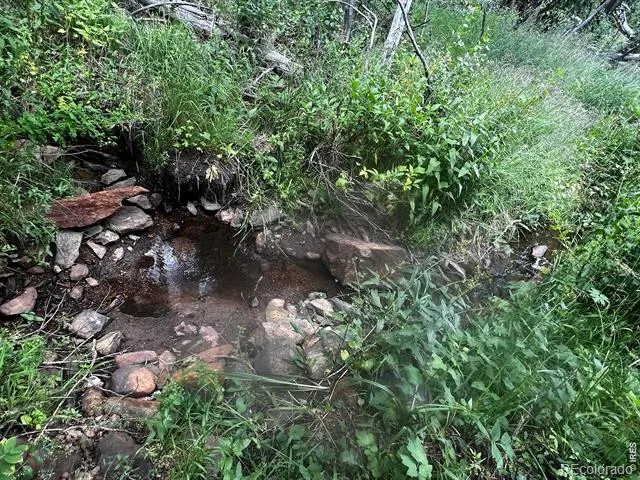 0 Forest Service Road #169 Red Feather Lakes, CO 80545