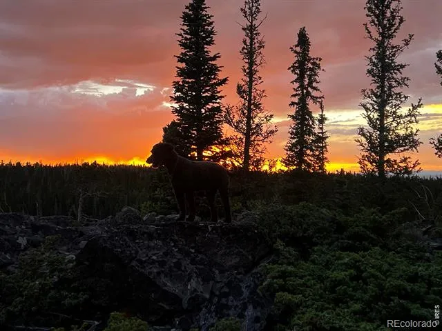 0 Forest Service Road #169 Red Feather Lakes, CO 80545