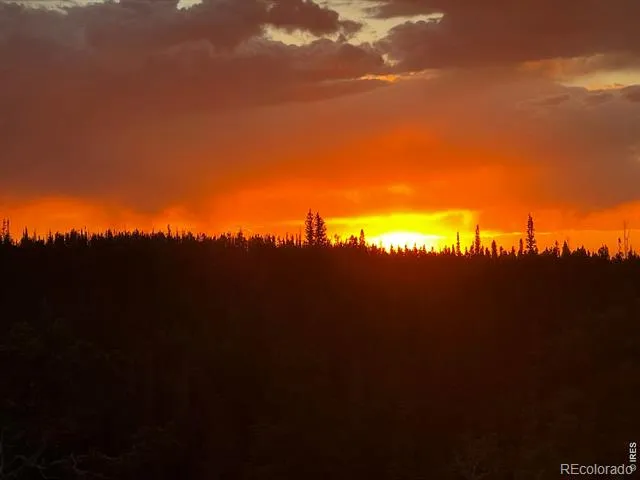 0 Forest Service Road #169 Red Feather Lakes, CO 80545