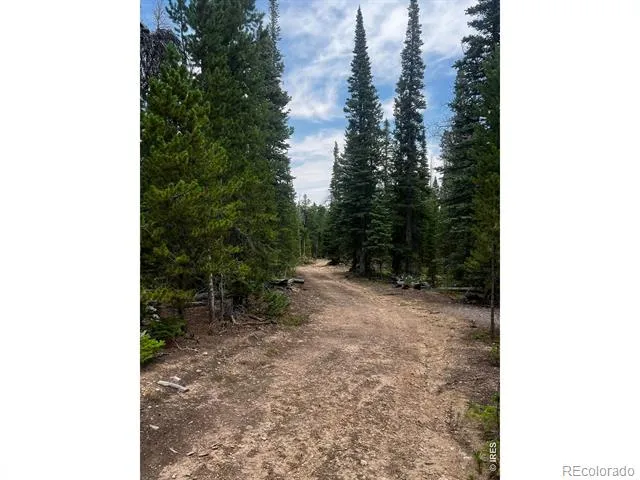 0 Forest Service Road #169 Red Feather Lakes, CO 80545