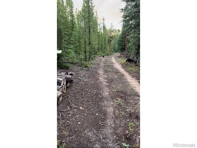 0 Forest Service Road #169 Red Feather Lakes, CO 80545