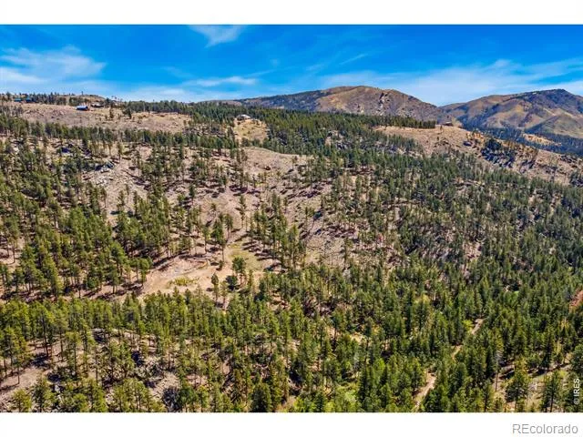 1899 Spring Valley Road Bellvue, CO 80512