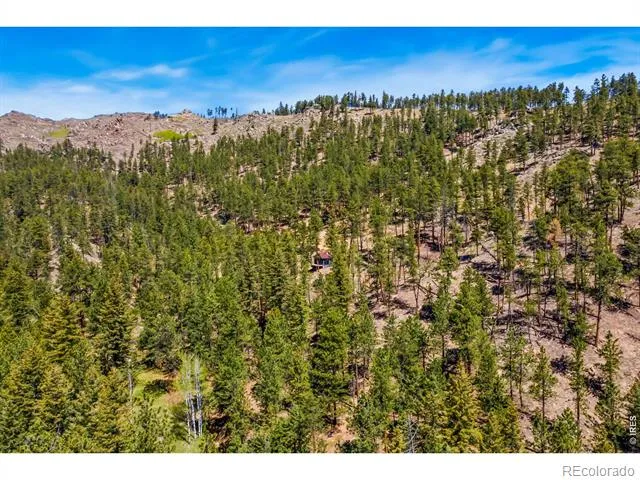 1899 Spring Valley Road Bellvue, CO 80512