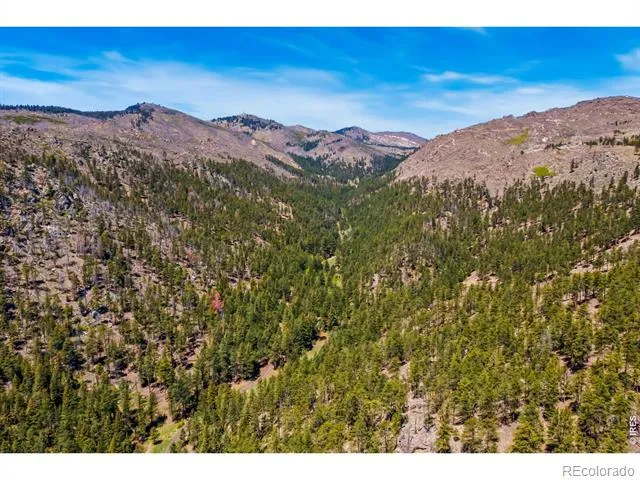 1899 Spring Valley Road Bellvue, CO 80512