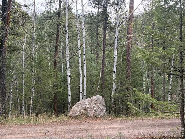 1899 Spring Valley Road Bellvue, CO 80512