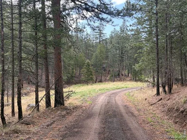 1899 Spring Valley Road Bellvue, CO 80512