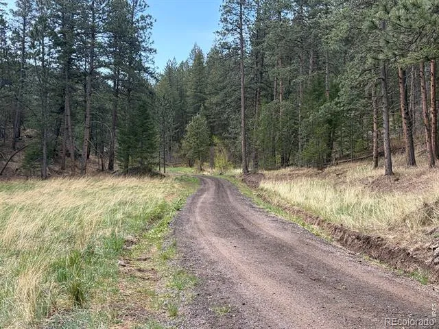 1899 Spring Valley Road Bellvue, CO 80512