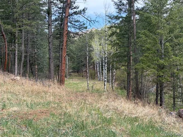 1899 Spring Valley Road Bellvue, CO 80512