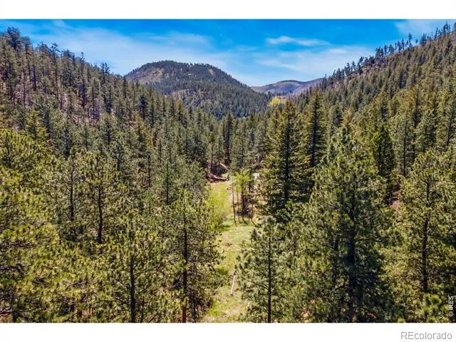 1899 Spring Valley Road Bellvue, CO 80512