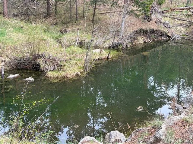 1899 Spring Valley Road Bellvue, CO 80512