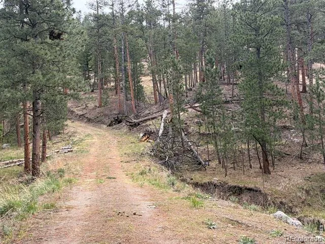 1899 Spring Valley Road Bellvue, CO 80512