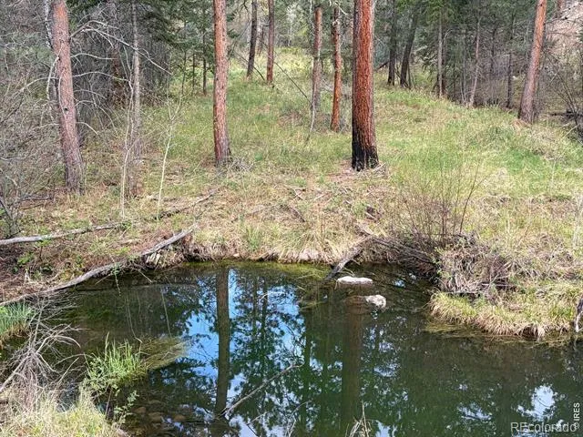 1899 Spring Valley Road Bellvue, CO 80512