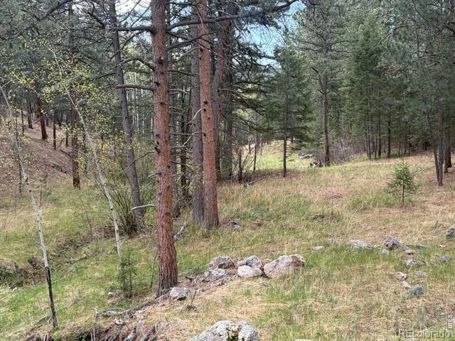 1899 Spring Valley Road Bellvue, CO 80512
