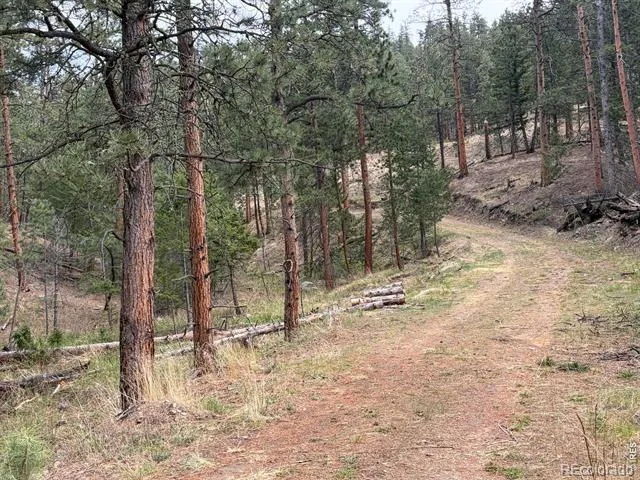 1899 Spring Valley Road Bellvue, CO 80512