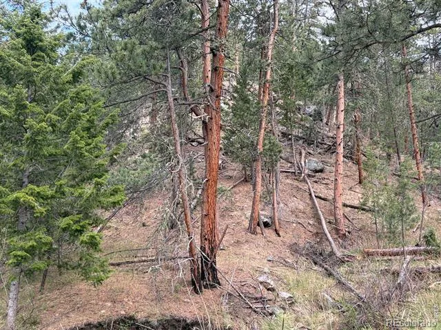 1899 Spring Valley Road Bellvue, CO 80512
