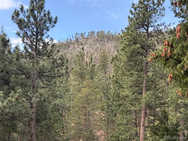 1899 Spring Valley Road Bellvue, CO 80512