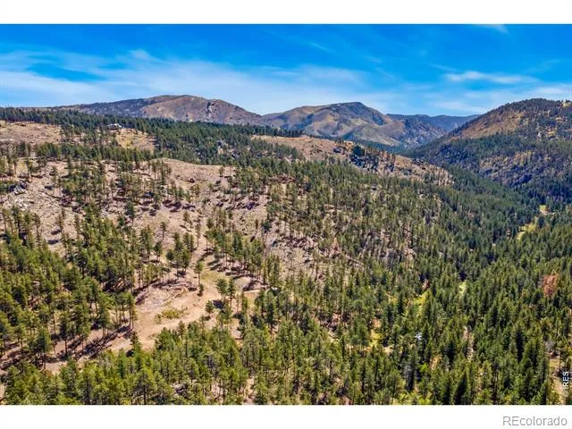 1899 Spring Valley Road Bellvue, CO 80512