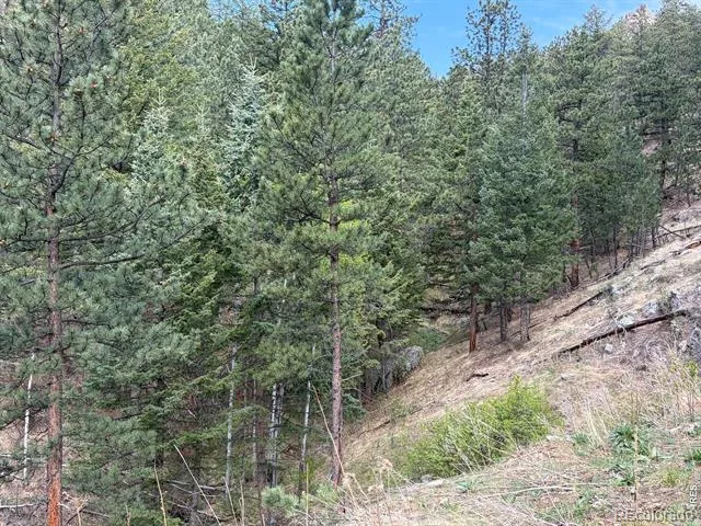 1899 Spring Valley Road Bellvue, CO 80512