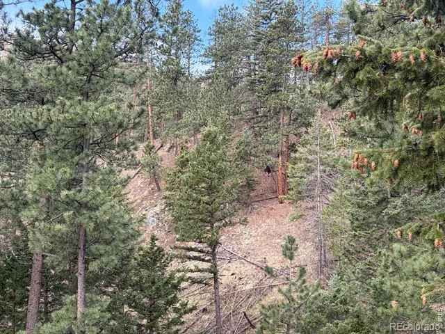 1899 Spring Valley Road Bellvue, CO 80512