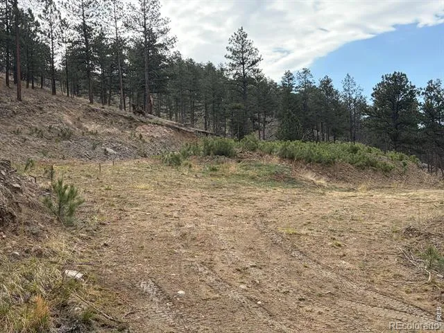 1899 Spring Valley Road Bellvue, CO 80512