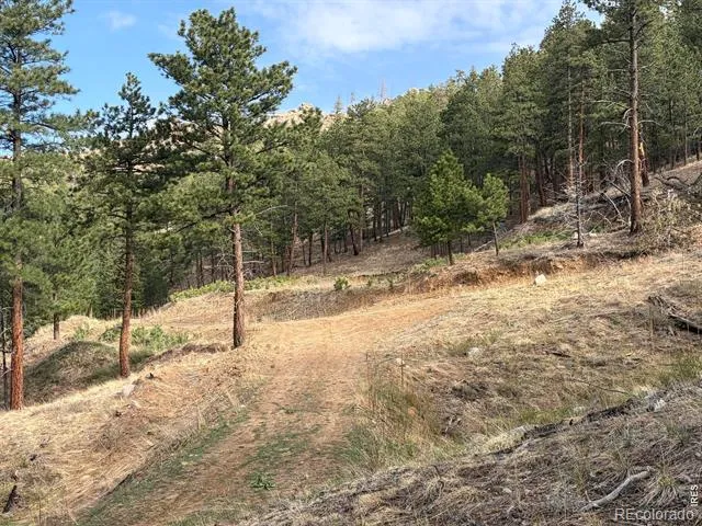 1899 Spring Valley Road Bellvue, CO 80512