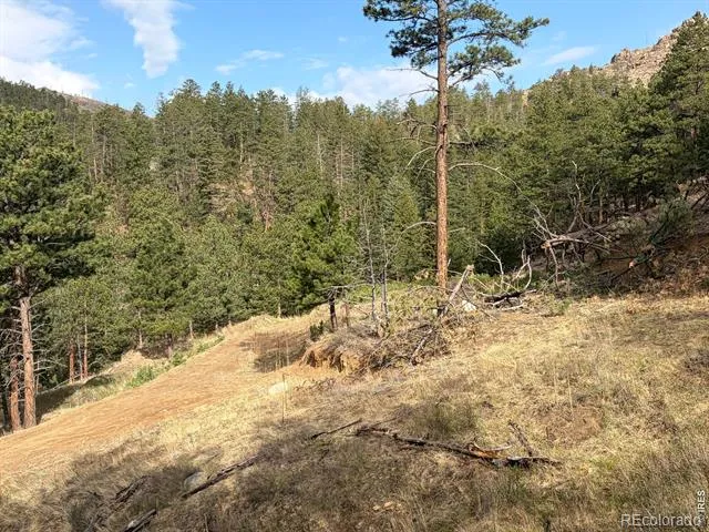 1899 Spring Valley Road Bellvue, CO 80512