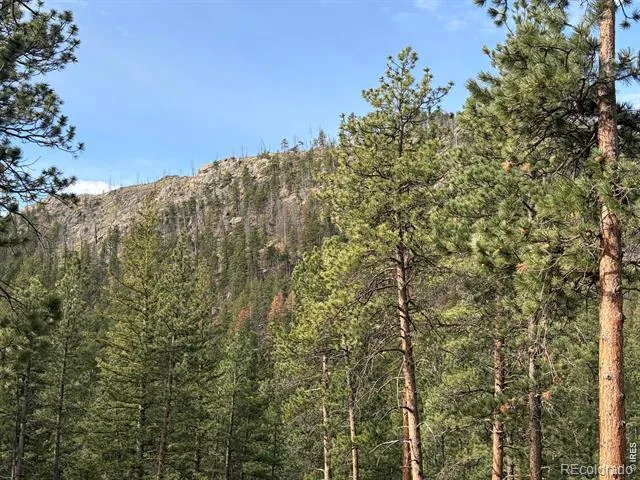 1899 Spring Valley Road Bellvue, CO 80512