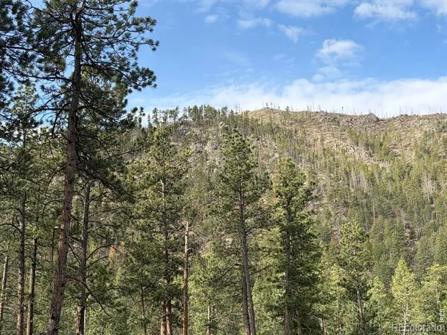 1899 Spring Valley Road Bellvue, CO 80512