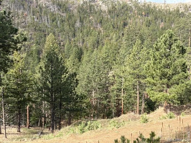1899 Spring Valley Road Bellvue, CO 80512
