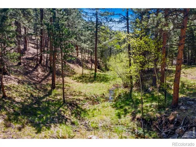 1899 Spring Valley Road Bellvue, CO 80512