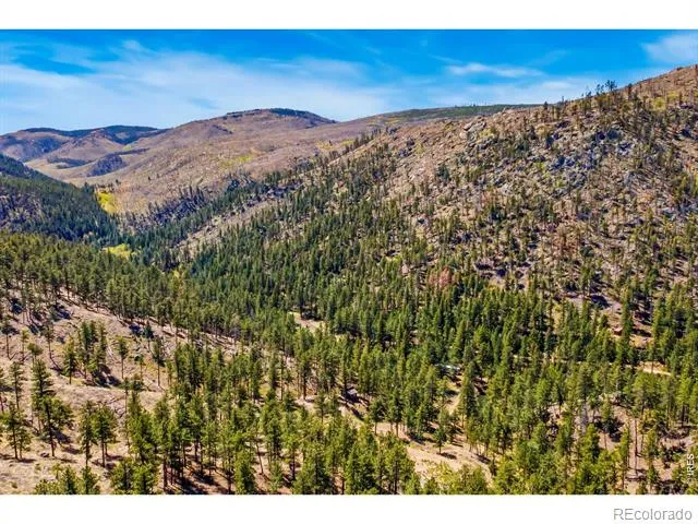 1899 Spring Valley Road Bellvue, CO 80512