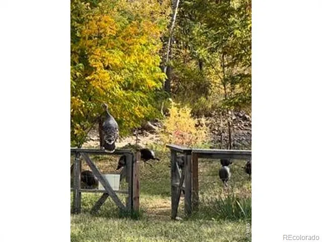 217 Park Street Lyons, CO 80540