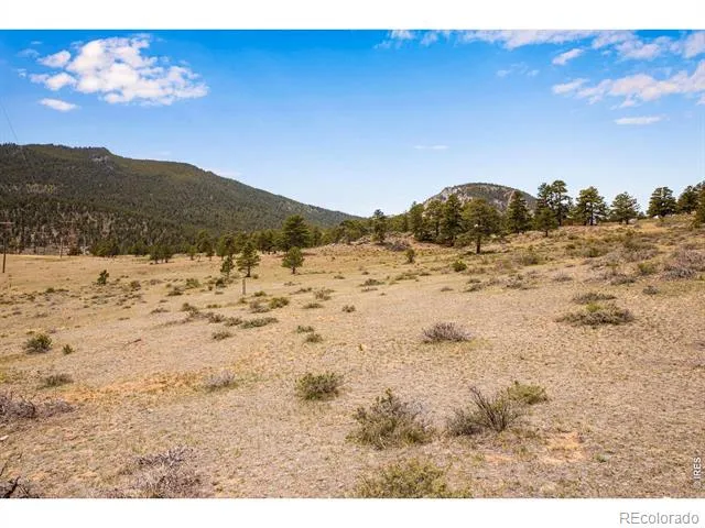 627 Little Prospect Road Estes Park, CO 80517