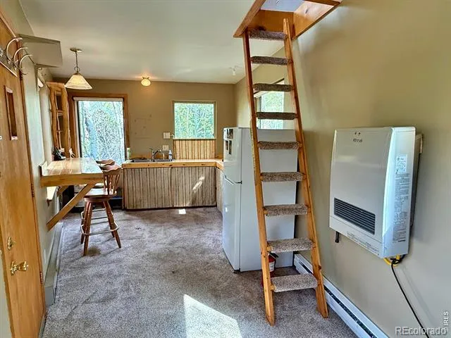 38 B and M Street Ward, CO 80481