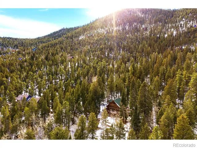 1655 Black Squirrel Drive Estes Park, CO 80517