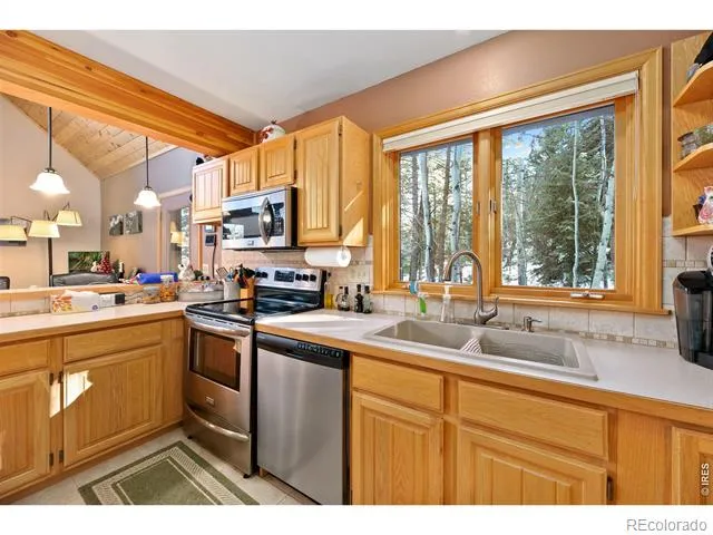 1655 Black Squirrel Drive Estes Park, CO 80517