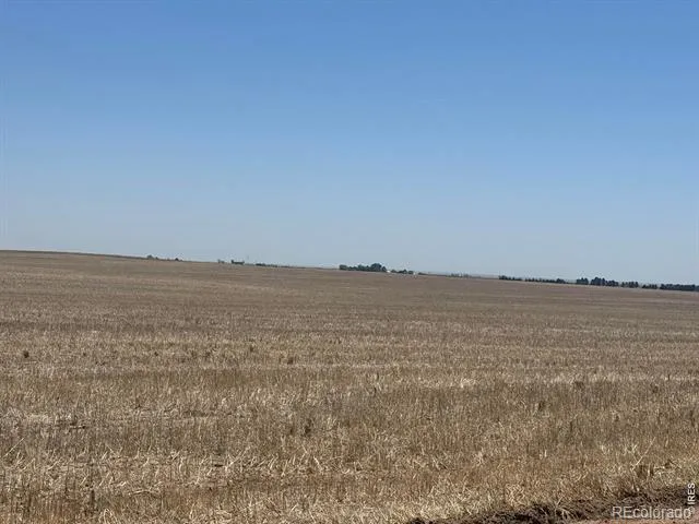 County Road 16 