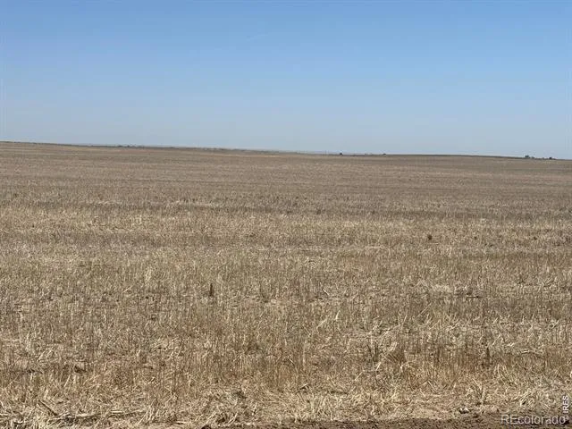County Road 16 