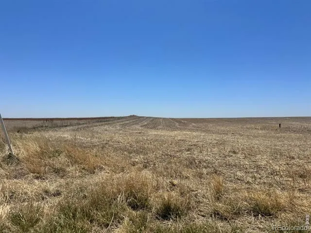 County Road 16 