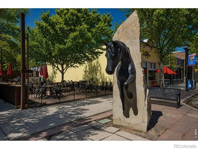 342 Main Street Erie, CO 80516
