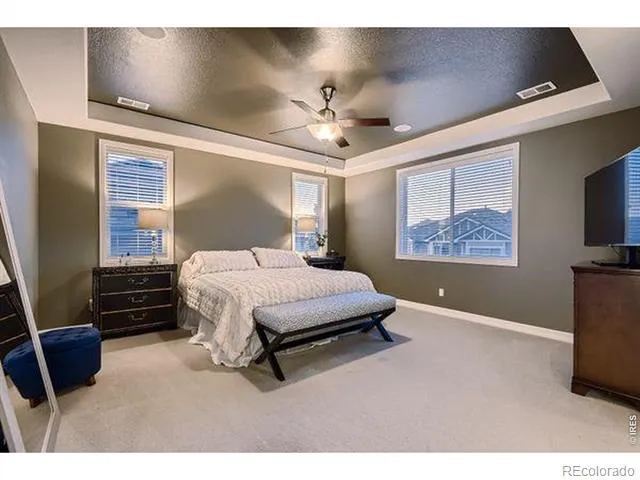 10080 Glenayre Lane Parker, CO 80134
