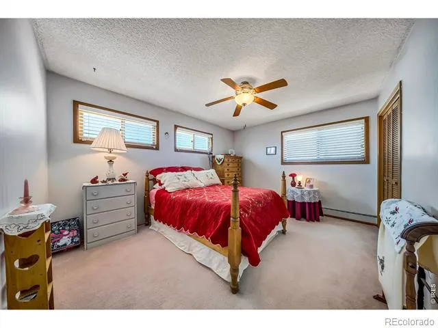 672 Garfield Street Walden, CO 80480