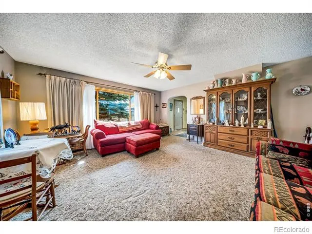 672 Garfield Street Walden, CO 80480